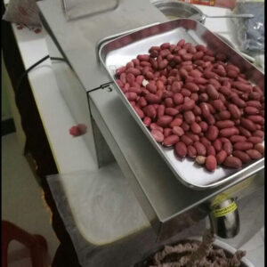 Automatic Oil Pressers Cold Press Peanut